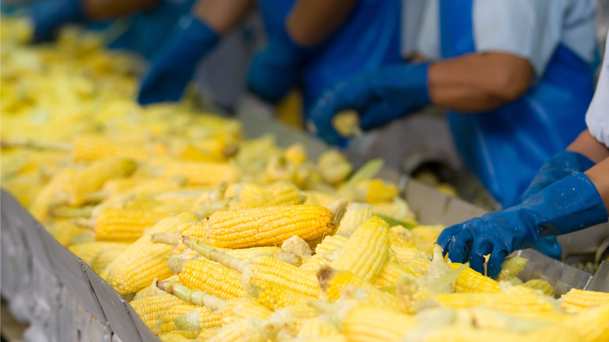 Eliminating risk from the food and drink supply chain