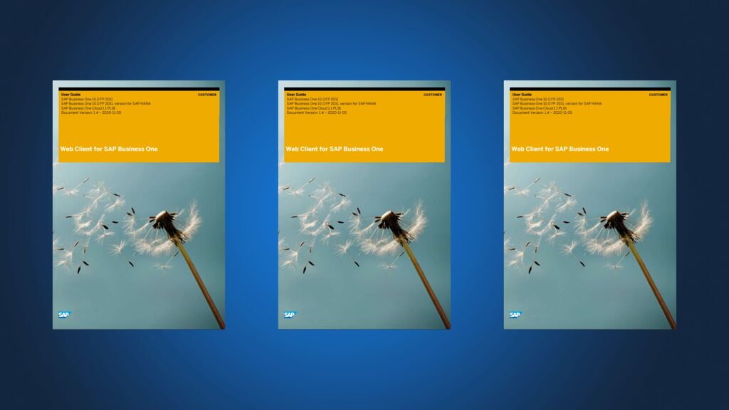 SAP Business One 10.0 Web Client User Guide