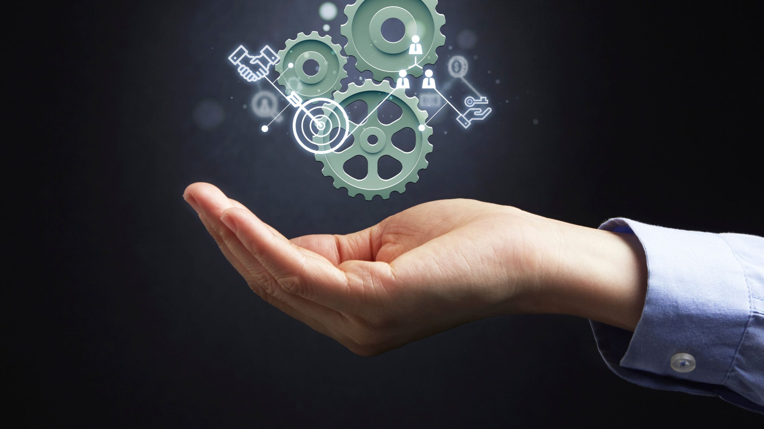 sap for Manufacturing ERP Software