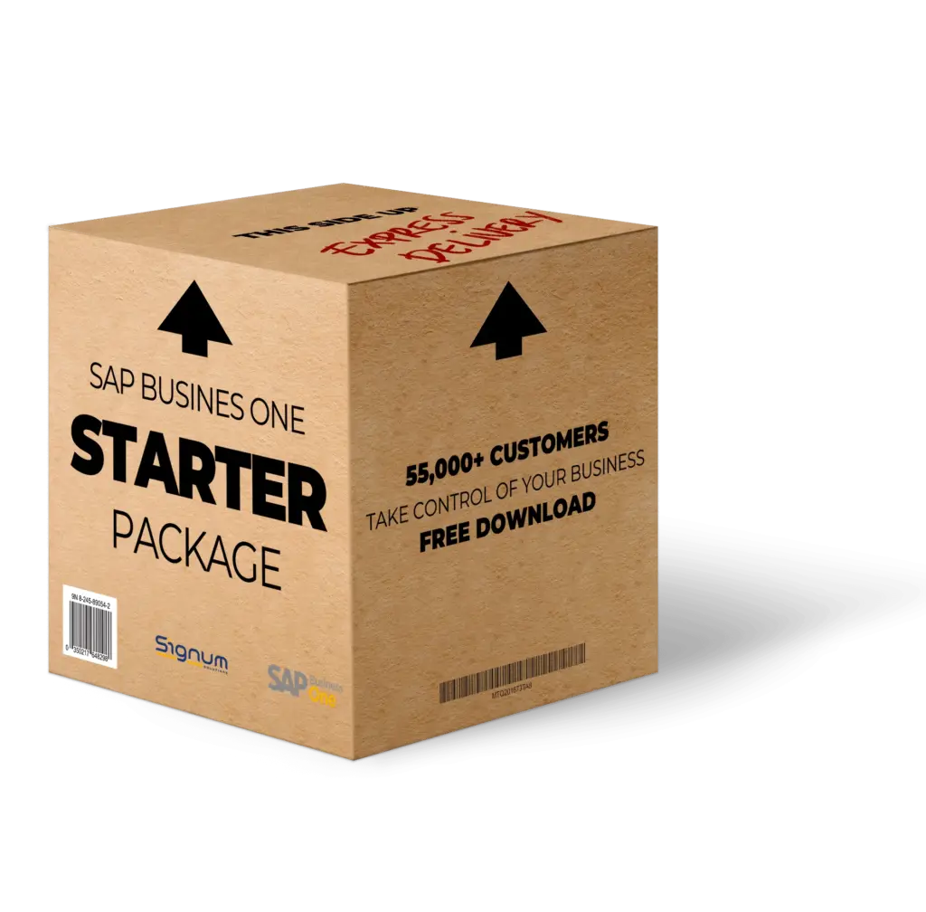 SAP Business One Starter Package