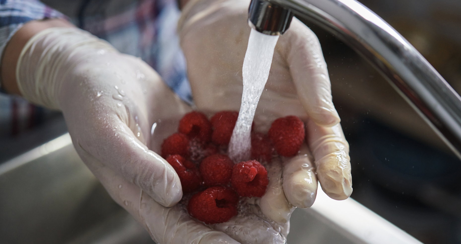 Food Safety and Compliance